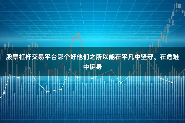 股票杠杆交易平台哪个好他们之所以能在平凡中坚守、在危难中挺身