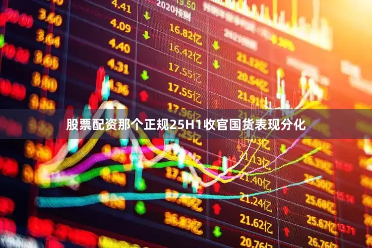 股票配资那个正规25H1收官国货表现分化
