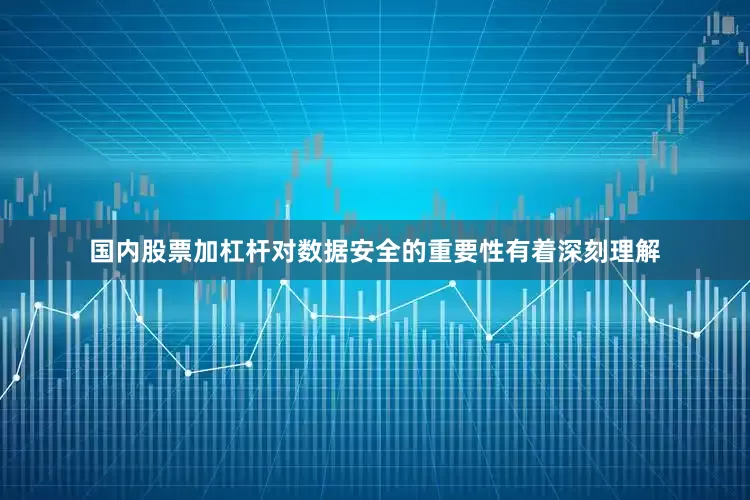 国内股票加杠杆对数据安全的重要性有着深刻理解