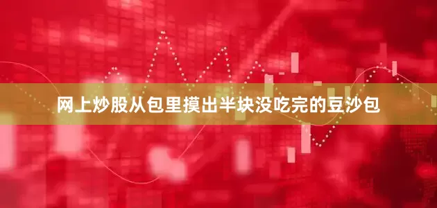 网上炒股从包里摸出半块没吃完的豆沙包