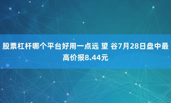 股票杠杆哪个平台好用一点远 望 谷7月28日盘中最高价报8.44元